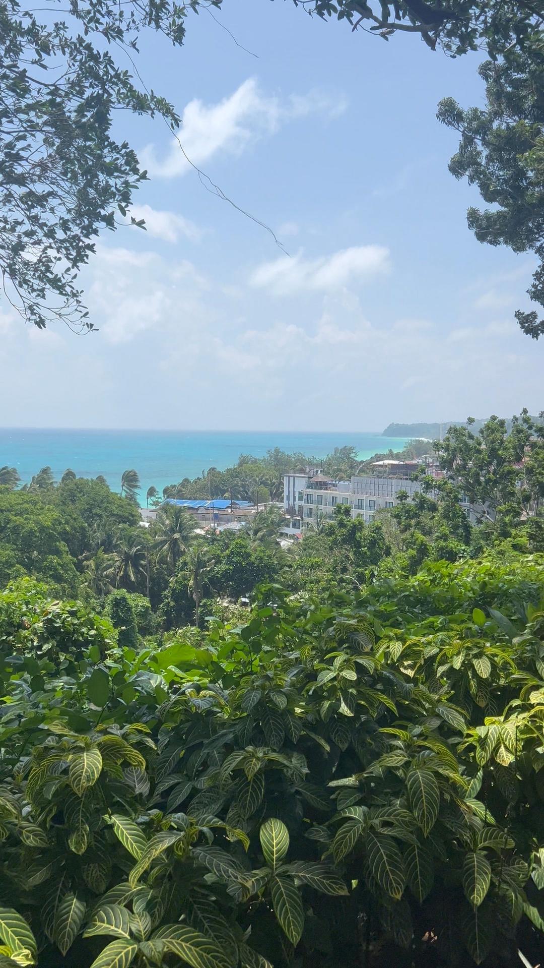 Ang dagat mula sa burol, sa ibabaw ng mga puno
